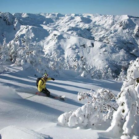 Grand Studio A La Montagne Ax-les-Thermes Esterno foto